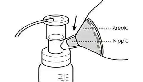 An illustration of a breast pump with labeled parts, showing the funnel covering the breast areola and nipple.