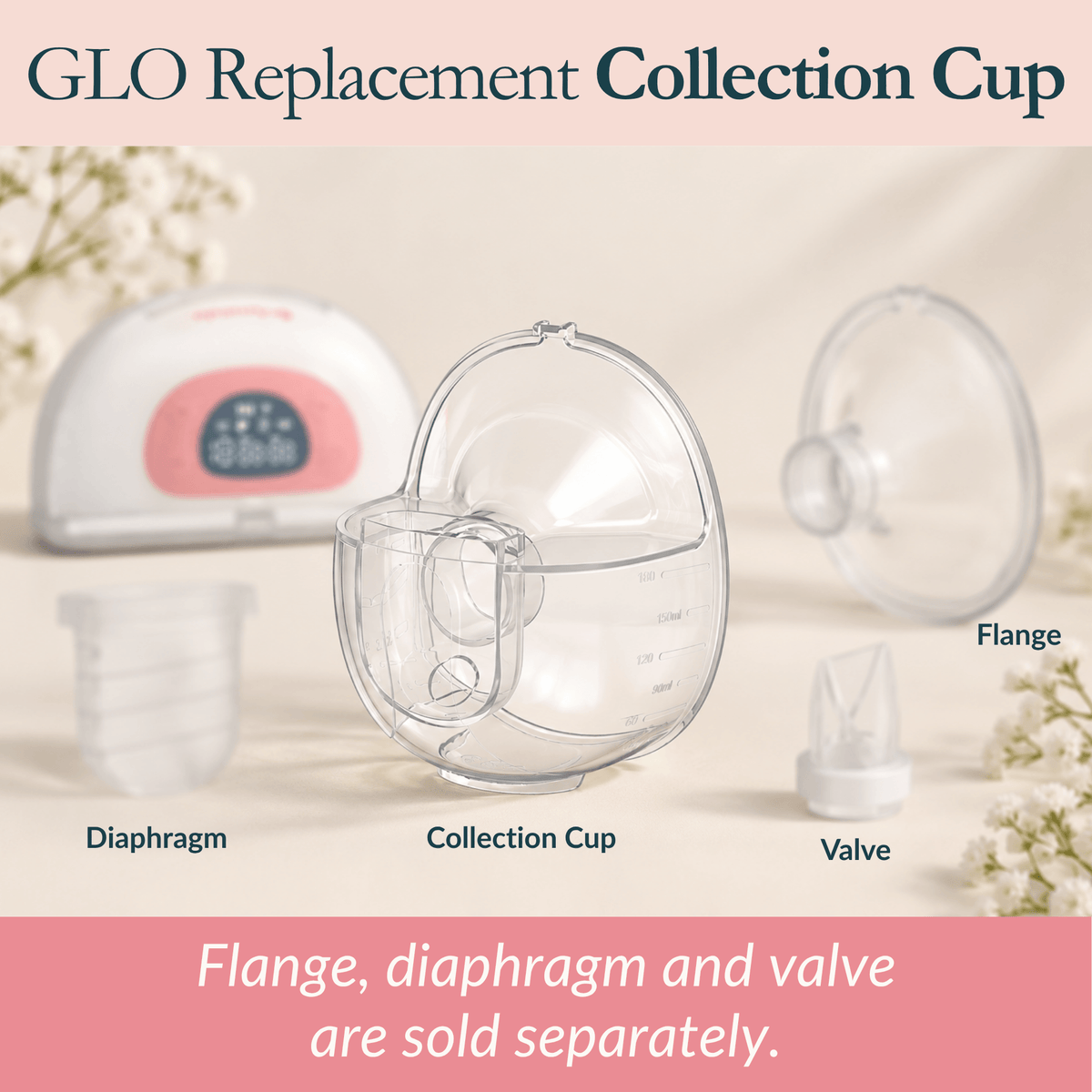 Ameda GLO Collection Cup