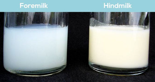 Graphic showing two breast milk storage bottles side by side, labeled "Foremilk" and "Hindmilk," highlighting the difference in milk color and consistency.