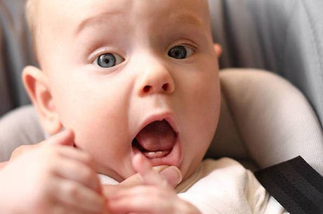 Baby nibbling on parent's finger